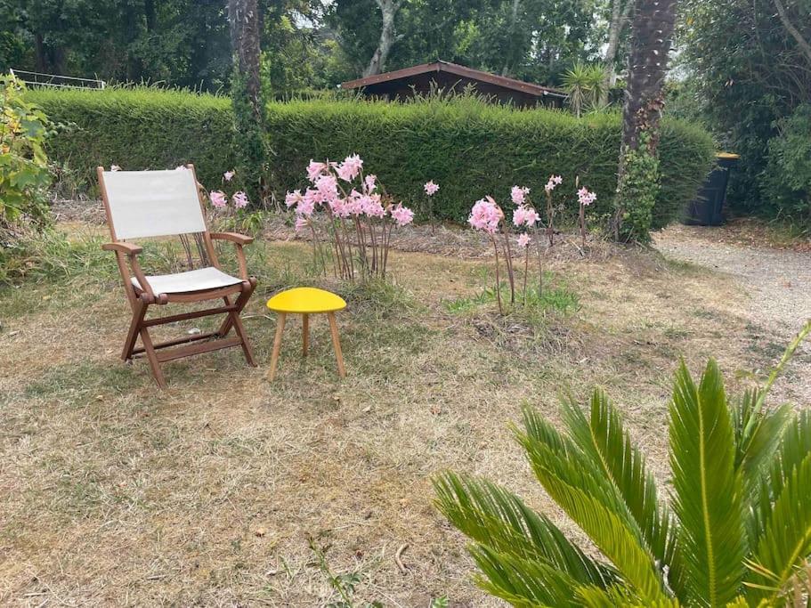 Vila Ty France Crozon Exteriér fotografie